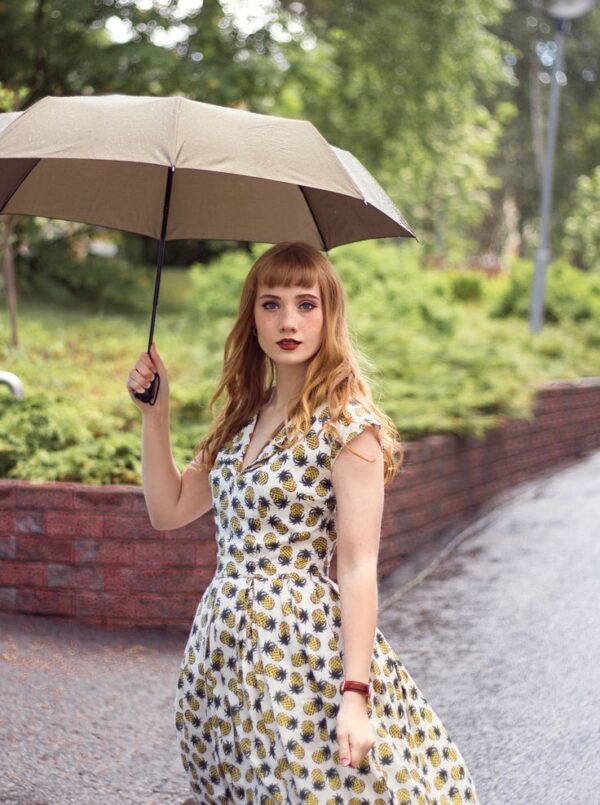 Emily and Fin Annie Dress with pineapples - Image 4